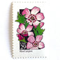 Image of 1992 American Wildflower Series “Moss Campion” vintage USPS mail stamps. Scott #2686. Stamp Themes: Plants, Flowers, Wildflowers, Flora. Pink, Purple, Green, Multicolored gummed postage stamp. Perfect postage stamp to use for save the date announcements, wedding invitation postage, bridal shower invitations, birth announcements, valentine’s day, thank you cards, and snail mail.