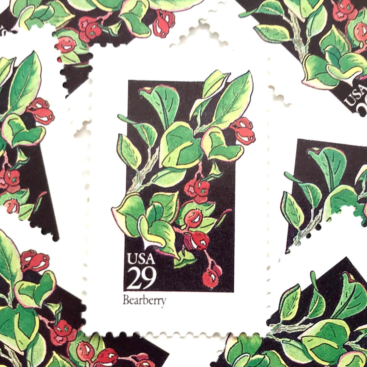 Image of 1992 American Wildflower series “Bearberry” 29-cent vintage USPS mail stamps. Scott #2687. Stamp Themes: Plants, Flowers, Wildflowers, Flora. Green, Red, Multicolored gummed postage stamp. Perfect postage stamp to use for save the date announcements, wedding invitation postage, bridal shower invitations, birth announcements, valentine’s day, thank you cards, and snail mail.