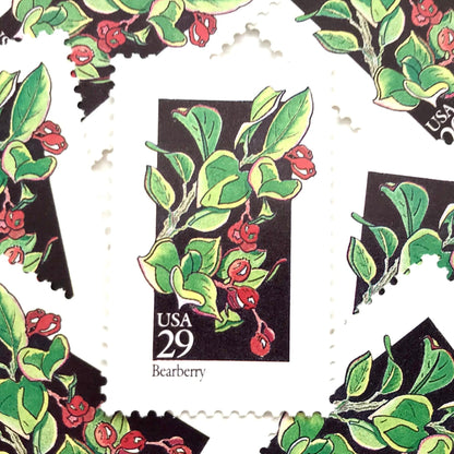 Image of 1992 American Wildflower series “Bearberry” 29-cent vintage USPS mail stamps. Scott #2687. Stamp Themes: Plants, Flowers, Wildflowers, Flora. Green, Red, Multicolored gummed postage stamp. Perfect postage stamp to use for save the date announcements, wedding invitation postage, bridal shower invitations, birth announcements, valentine’s day, thank you cards, and snail mail.