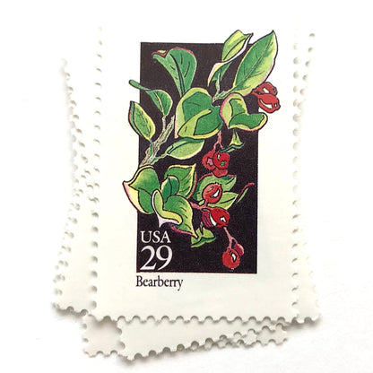 Image of 1992 American Wildflower series “Bearberry” 29-cent vintage USPS mail stamps. Scott #2687. Stamp Themes: Plants, Flowers, Wildflowers, Flora. Green, Red, Multicolored gummed postage stamp. Perfect postage stamp to use for save the date announcements, wedding invitation postage, bridal shower invitations, birth announcements, valentine’s day, thank you cards, and snail mail.