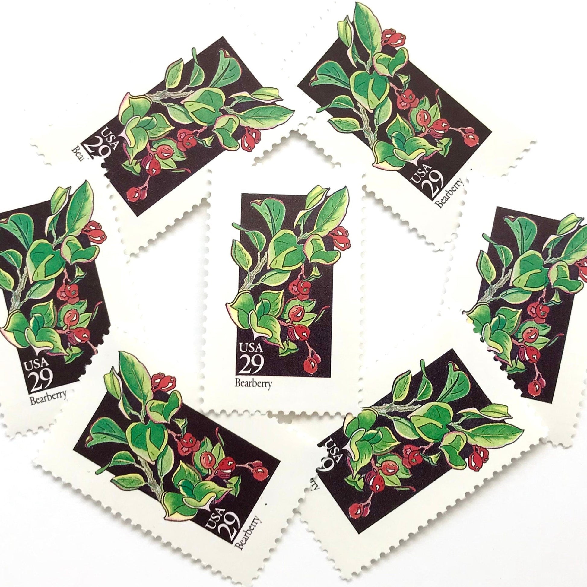 Image of 1992 American Wildflower series “Bearberry” 29-cent vintage USPS mail stamps. Scott #2687. Stamp Themes: Plants, Flowers, Wildflowers, Flora. Green, Red, Multicolored gummed postage stamp. Perfect postage stamp to use for save the date announcements, wedding invitation postage, bridal shower invitations, birth announcements, valentine’s day, thank you cards, and snail mail.