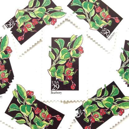 Image of 1992 American Wildflower series “Bearberry” 29-cent vintage USPS mail stamps. Scott #2687. Stamp Themes: Plants, Flowers, Wildflowers, Flora. Green, Red, Multicolored gummed postage stamp. Perfect postage stamp to use for save the date announcements, wedding invitation postage, bridal shower invitations, birth announcements, valentine’s day, thank you cards, and snail mail.