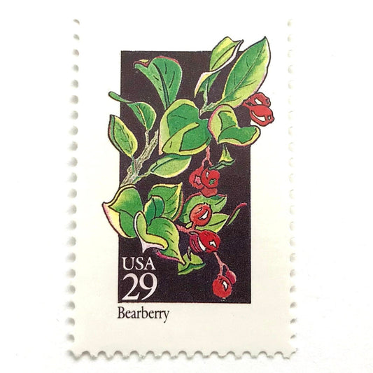Image of 1992 American Wildflower series “Bearberry” 29-cent vintage USPS mail stamps. Scott #2687. Stamp Themes: Plants, Flowers, Wildflowers, Flora. Green, Red, Multicolored gummed postage stamp. Perfect postage stamp to use for save the date announcements, wedding invitation postage, bridal shower invitations, birth announcements, valentine’s day, thank you cards, and snail mail.