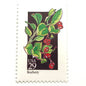 Image of 1992 American Wildflower series “Bearberry” 29-cent vintage USPS mail stamps. Scott #2687. Stamp Themes: Plants, Flowers, Wildflowers, Flora. Green, Red, Multicolored gummed postage stamp. Perfect postage stamp to use for save the date announcements, wedding invitation postage, bridal shower invitations, birth announcements, valentine’s day, thank you cards, and snail mail.