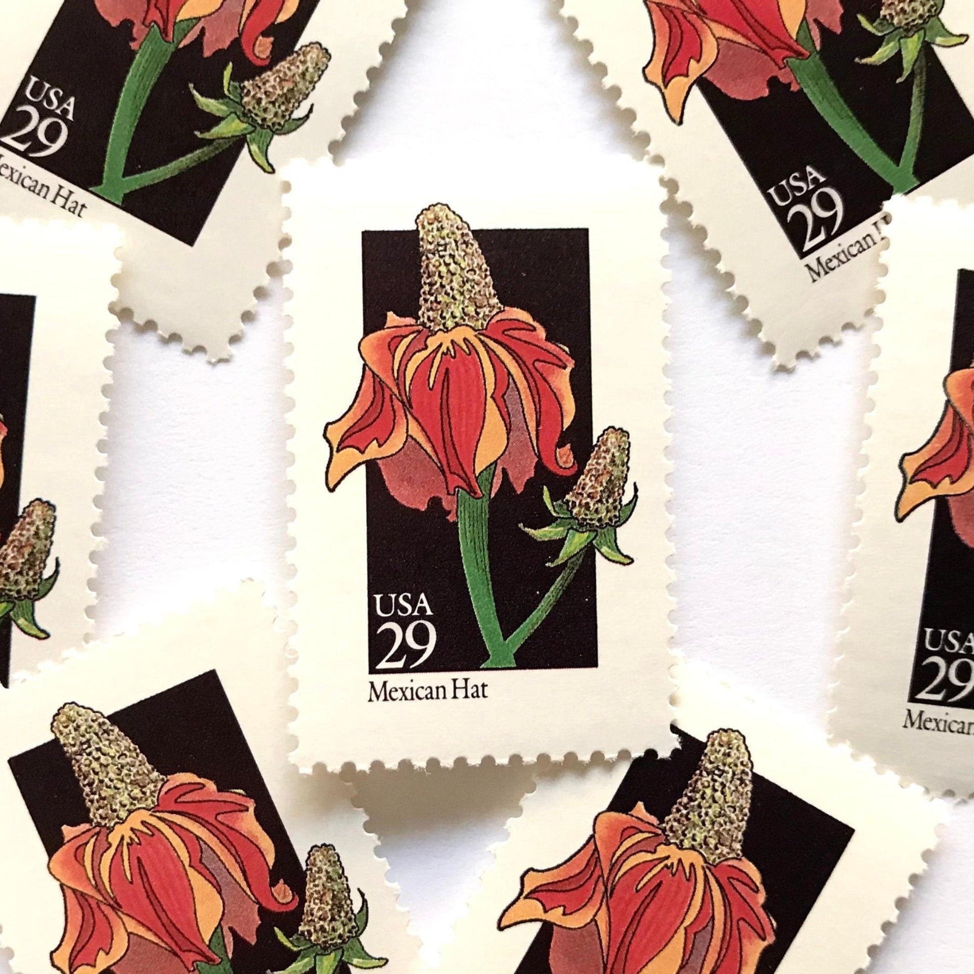 Image of 1992 American Wildflower Series “Mexican Hat” vintage USPS mail stamps. Scott #2688. Stamp Themes: Plants, Flowers, Wildflowers, Flora. Red, Orange, Green, Multicolored gummed postage stamp. Perfect postage stamp to use for save the date announcements, wedding invitation postage, bridal shower invitations, birth announcements, valentine’s day, thank you cards, and snail mail.