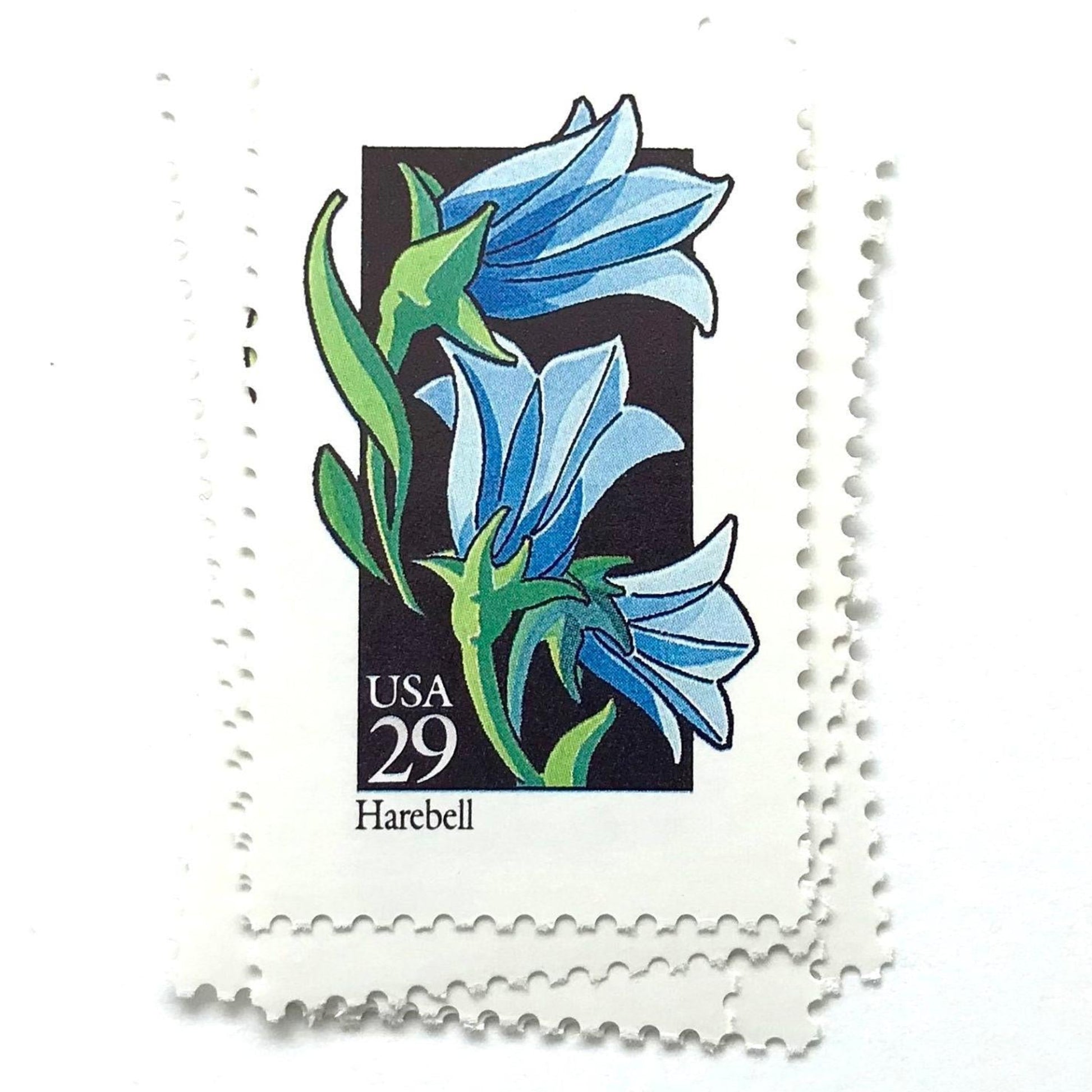 Image of 1992 American Wildflower Series “Harebell” vintage USPS mail stamps. Scott #2689. Stamp Themes: Plants, Flowers, Wildflowers, Flora. Blue, Green, Black, Multicolored gummed postage stamp. Perfect postage stamp to use for save the date announcements, wedding invitation postage, bridal shower invitations, birth announcements, valentine’s day, thank you cards, and snail mail.