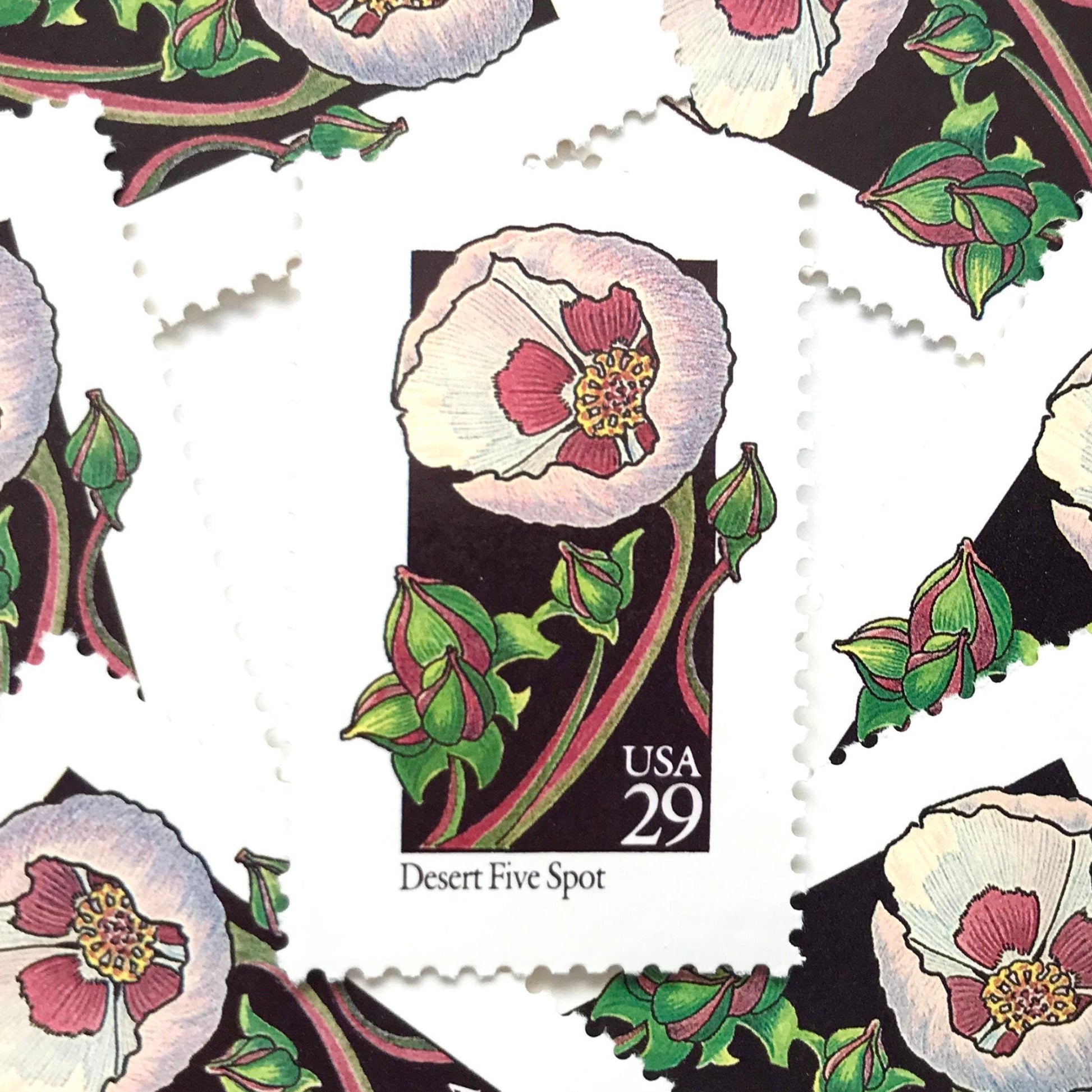 Image of 1992 American Wildflower series “Desert Five Spot” 29-cent vintage USPS mail stamps. Scott #2690. Stamp Themes: Plants, Flowers, Wildflowers, Flora. Pink, Fuchsia, Lavender, Green, Multicolored gummed postage stamp. Perfect postage stamp to use for save the date announcements, wedding invitation postage, bridal shower invitations, birth announcements, valentine’s day, thank you cards, and snail mail.