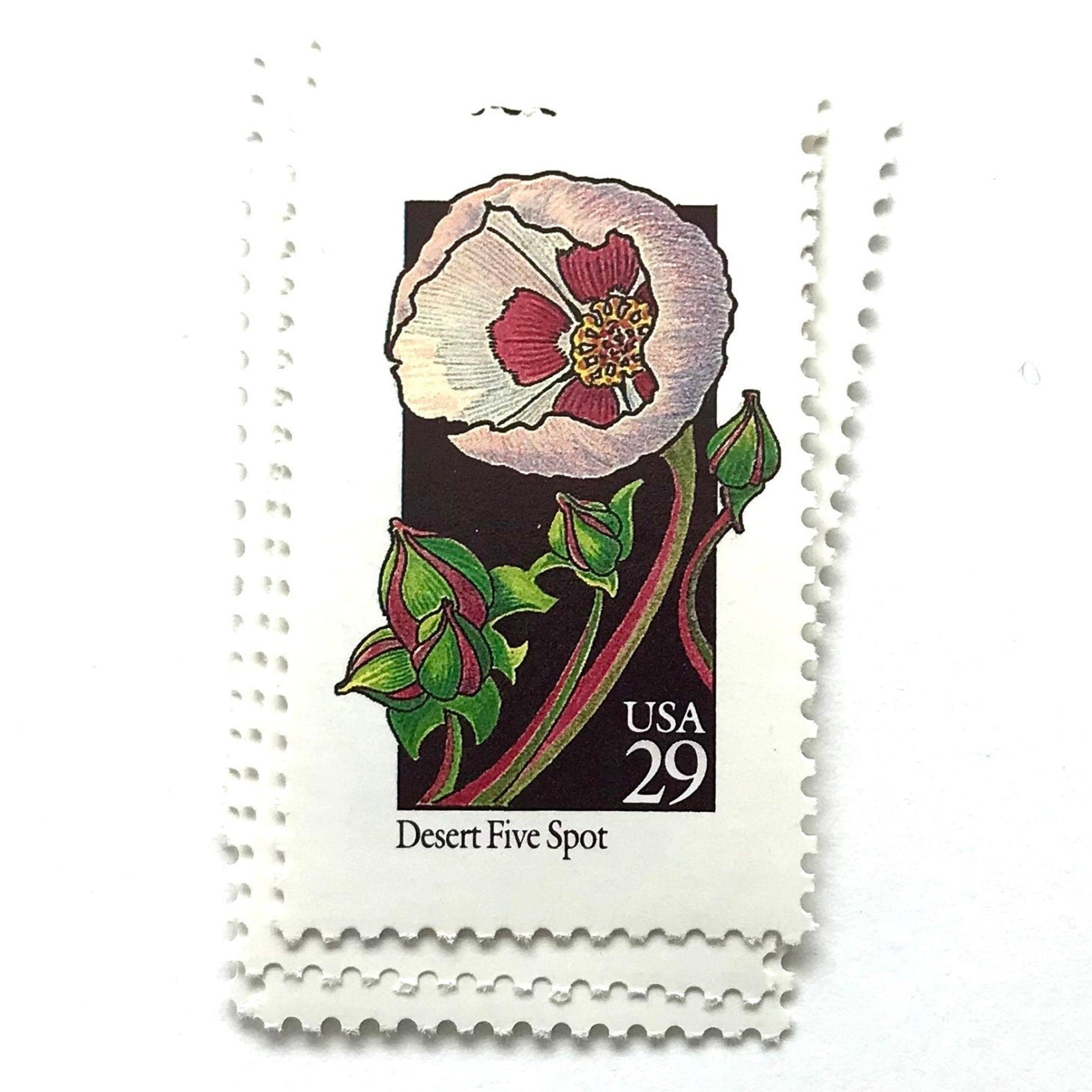 Image of 1992 American Wildflower series “Desert Five Spot” 29-cent vintage USPS mail stamps. Scott #2690. Stamp Themes: Plants, Flowers, Wildflowers, Flora. Pink, Fuchsia, Lavender, Green, Multicolored gummed postage stamp. Perfect postage stamp to use for save the date announcements, wedding invitation postage, bridal shower invitations, birth announcements, valentine’s day, thank you cards, and snail mail.