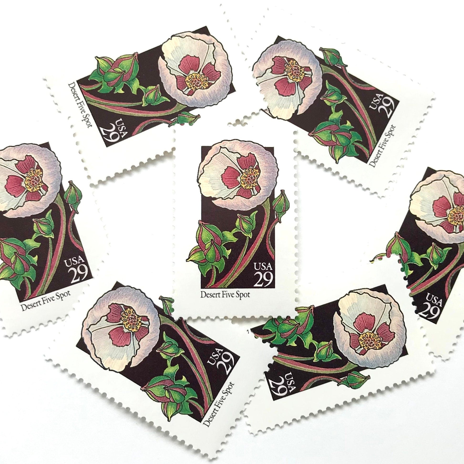 Image of 1992 American Wildflower series “Desert Five Spot” 29-cent vintage USPS mail stamps. Scott #2690. Stamp Themes: Plants, Flowers, Wildflowers, Flora. Pink, Fuchsia, Lavender, Green, Multicolored gummed postage stamp. Perfect postage stamp to use for save the date announcements, wedding invitation postage, bridal shower invitations, birth announcements, valentine’s day, thank you cards, and snail mail.