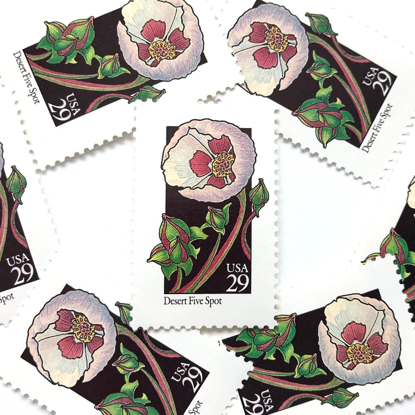 Image of 1992 American Wildflower series “Desert Five Spot” 29-cent vintage USPS mail stamps. Scott #2690. Stamp Themes: Plants, Flowers, Wildflowers, Flora. Pink, Fuchsia, Lavender, Green, Multicolored gummed postage stamp. Perfect postage stamp to use for save the date announcements, wedding invitation postage, bridal shower invitations, birth announcements, valentine’s day, thank you cards, and snail mail.
