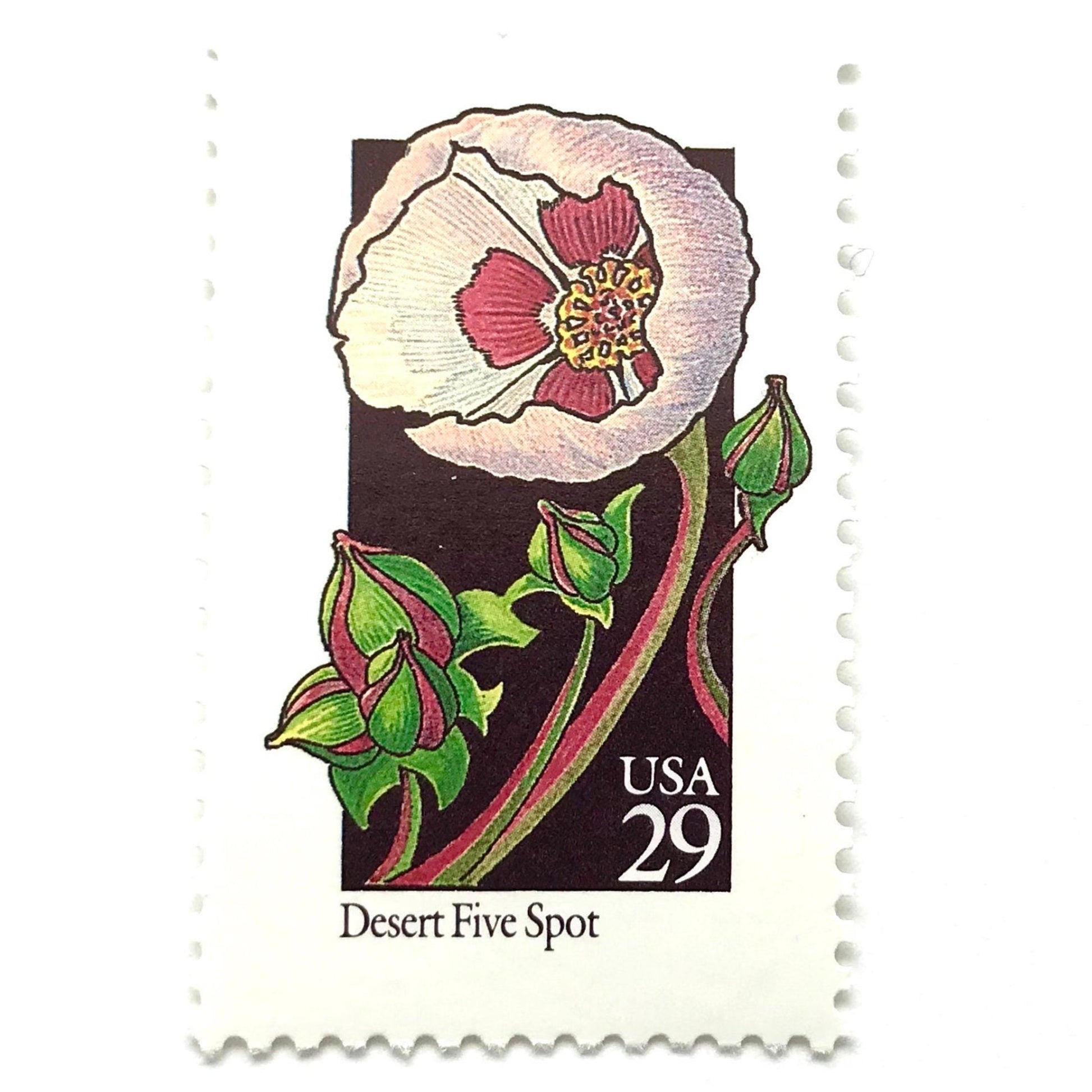 Image of 1992 American Wildflower series “Desert Five Spot” 29-cent vintage USPS mail stamps. Scott #2690. Stamp Themes: Plants, Flowers, Wildflowers, Flora. Pink, Fuchsia, Lavender, Green, Multicolored gummed postage stamp. Perfect postage stamp to use for save the date announcements, wedding invitation postage, bridal shower invitations, birth announcements, valentine’s day, thank you cards, and snail mail.