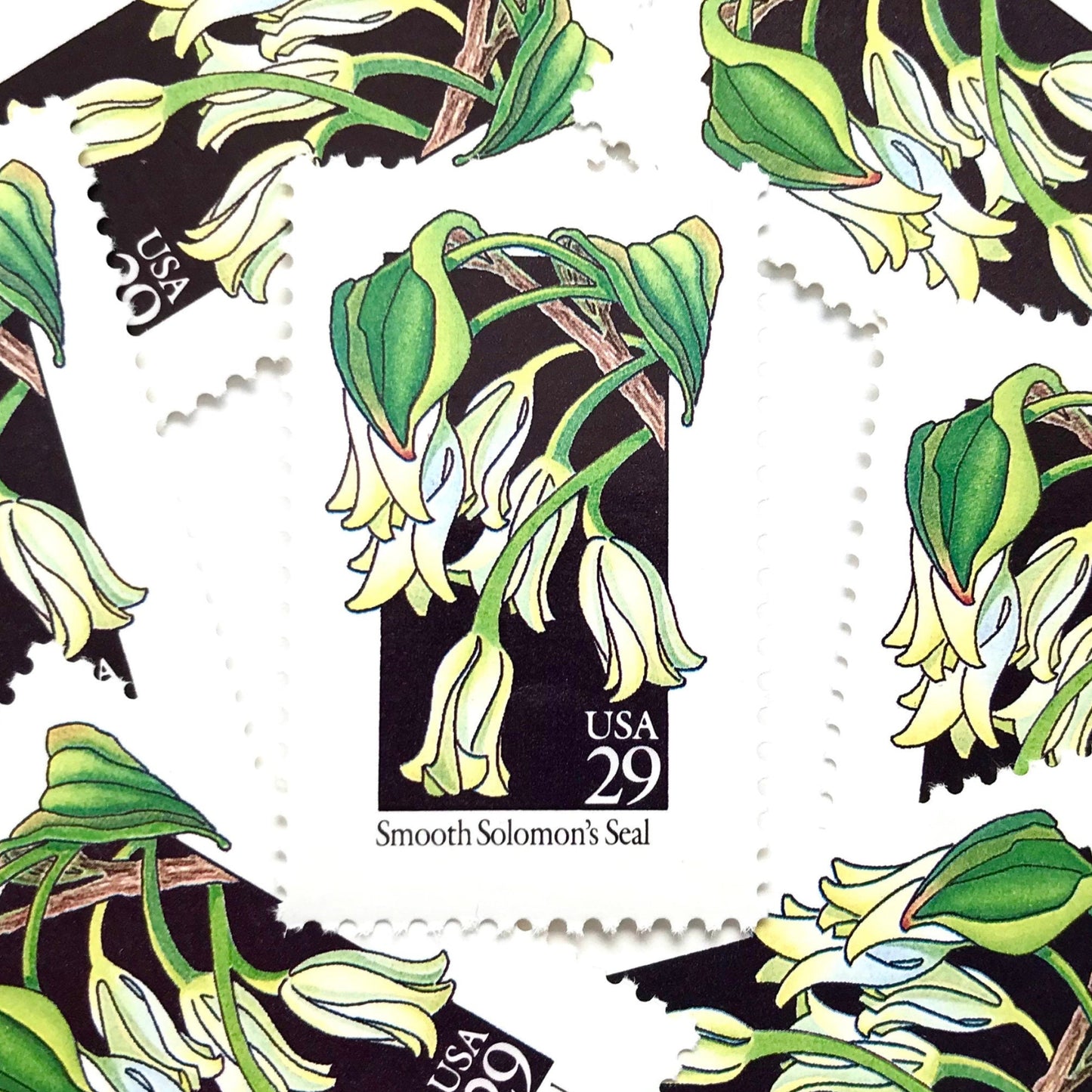 Image of 1992 American Wildflower Series “Smooth Solomon's Seal” vintage USPS mail stamps. Scott #2691. Stamp Themes: Plants, Flowers, Wildflowers, Flora. White, Green, Black, Multicolored gummed postage stamp. Perfect postage stamp to use for save the date announcements, wedding invitation postage, bridal shower invitations, birth announcements, valentine’s day, thank you cards, and snail mail.
