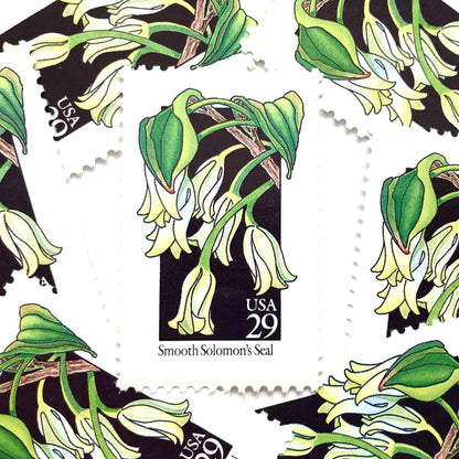 Image of 1992 American Wildflower Series “Smooth Solomon's Seal” vintage USPS mail stamps. Scott #2691. Stamp Themes: Plants, Flowers, Wildflowers, Flora. White, Green, Black, Multicolored gummed postage stamp. Perfect postage stamp to use for save the date announcements, wedding invitation postage, bridal shower invitations, birth announcements, valentine’s day, thank you cards, and snail mail.
