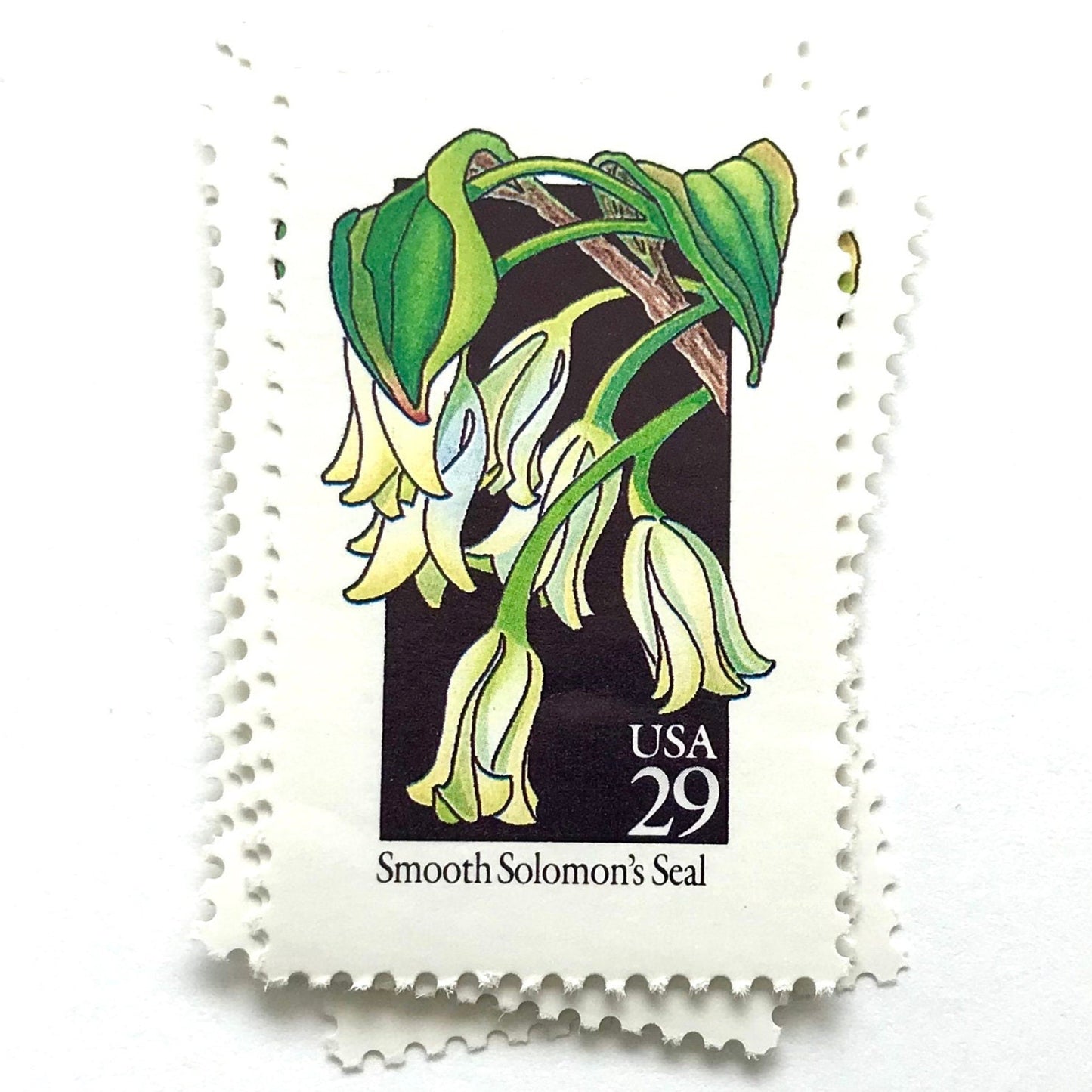 Image of 1992 American Wildflower Series “Smooth Solomon's Seal” vintage USPS mail stamps. Scott #2691. Stamp Themes: Plants, Flowers, Wildflowers, Flora. White, Green, Black, Multicolored gummed postage stamp. Perfect postage stamp to use for save the date announcements, wedding invitation postage, bridal shower invitations, birth announcements, valentine’s day, thank you cards, and snail mail.