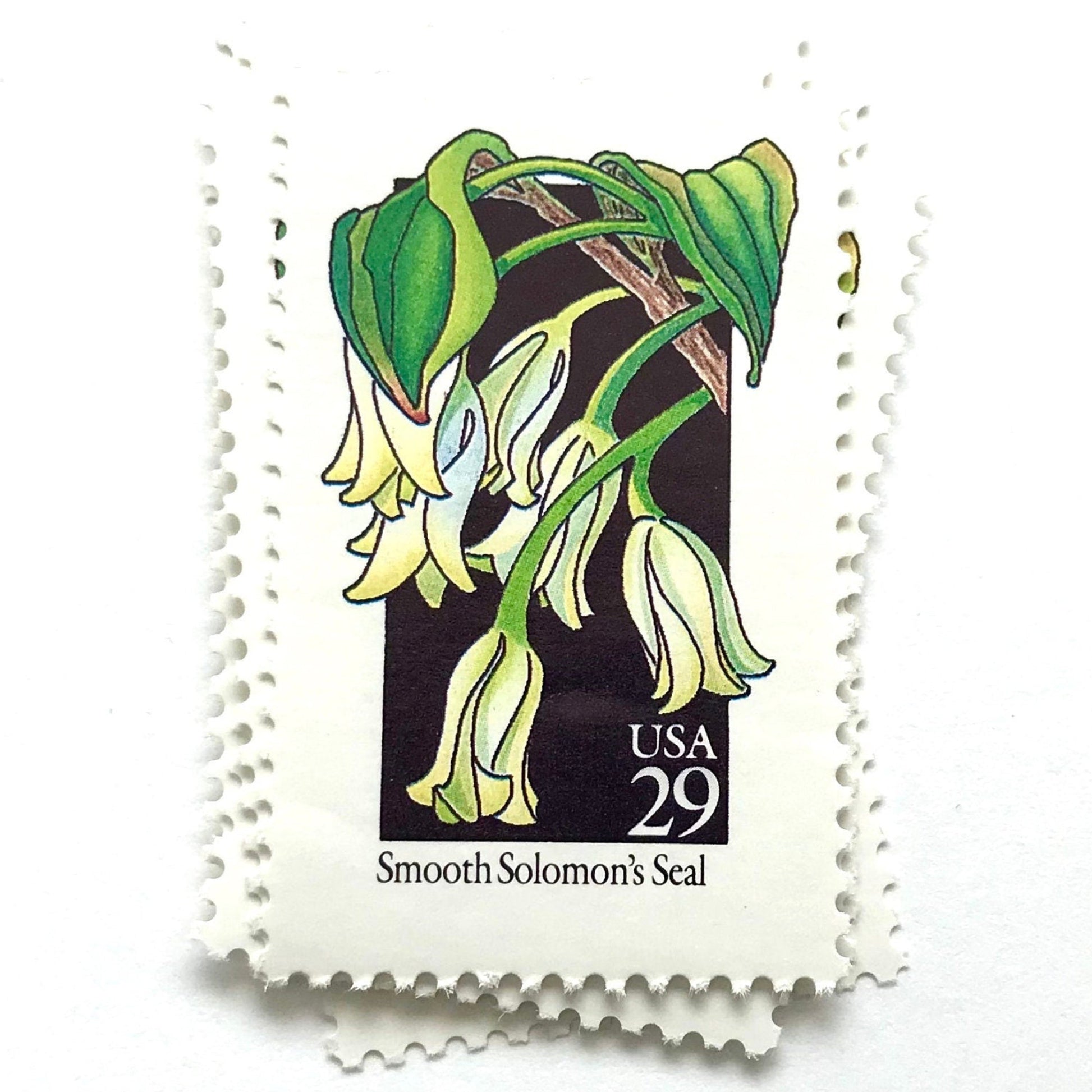 Image of 1992 American Wildflower Series “Smooth Solomon's Seal” vintage USPS mail stamps. Scott #2691. Stamp Themes: Plants, Flowers, Wildflowers, Flora. White, Green, Black, Multicolored gummed postage stamp. Perfect postage stamp to use for save the date announcements, wedding invitation postage, bridal shower invitations, birth announcements, valentine’s day, thank you cards, and snail mail.