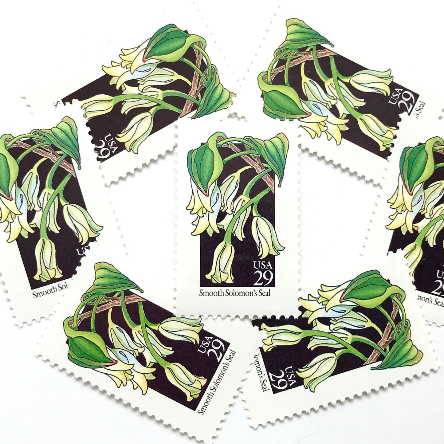 Image of 1992 American Wildflower Series “Smooth Solomon's Seal” vintage USPS mail stamps. Scott #2691. Stamp Themes: Plants, Flowers, Wildflowers, Flora. White, Green, Black, Multicolored gummed postage stamp. Perfect postage stamp to use for save the date announcements, wedding invitation postage, bridal shower invitations, birth announcements, valentine’s day, thank you cards, and snail mail.