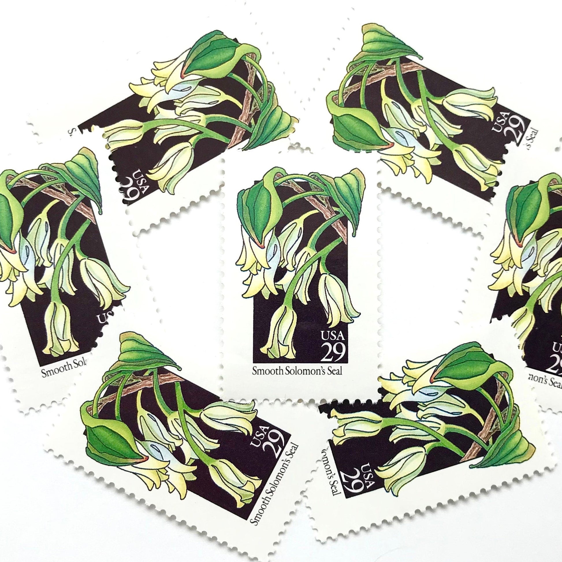 Image of 1992 American Wildflower Series “Smooth Solomon's Seal” vintage USPS mail stamps. Scott #2691. Stamp Themes: Plants, Flowers, Wildflowers, Flora. White, Green, Black, Multicolored gummed postage stamp. Perfect postage stamp to use for save the date announcements, wedding invitation postage, bridal shower invitations, birth announcements, valentine’s day, thank you cards, and snail mail.