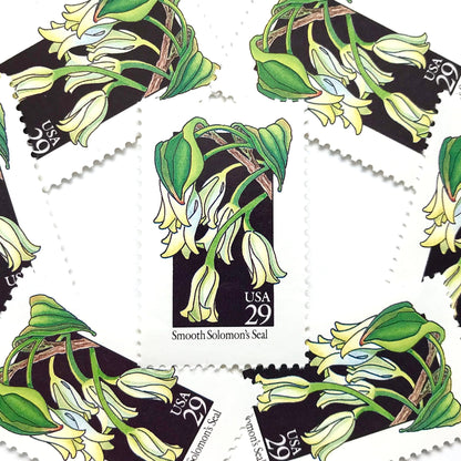 Image of 1992 American Wildflower Series “Smooth Solomon's Seal” vintage USPS mail stamps. Scott #2691. Stamp Themes: Plants, Flowers, Wildflowers, Flora. White, Green, Black, Multicolored gummed postage stamp. Perfect postage stamp to use for save the date announcements, wedding invitation postage, bridal shower invitations, birth announcements, valentine’s day, thank you cards, and snail mail.