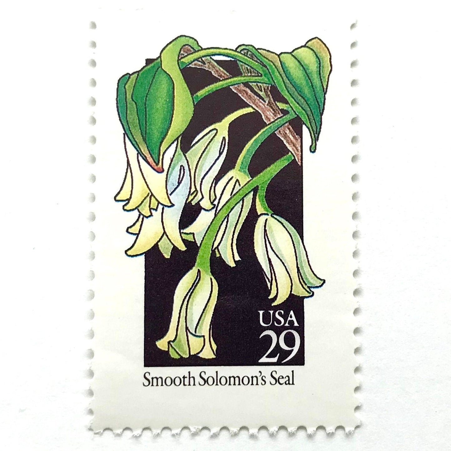 Image of 1992 American Wildflower Series “Smooth Solomon's Seal” vintage USPS mail stamps. Scott #2691. Stamp Themes: Plants, Flowers, Wildflowers, Flora. White, Green, Black, Multicolored gummed postage stamp. Perfect postage stamp to use for save the date announcements, wedding invitation postage, bridal shower invitations, birth announcements, valentine’s day, thank you cards, and snail mail.