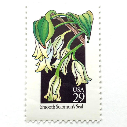 Image of 1992 American Wildflower Series “Smooth Solomon's Seal” vintage USPS mail stamps. Scott #2691. Stamp Themes: Plants, Flowers, Wildflowers, Flora. White, Green, Black, Multicolored gummed postage stamp. Perfect postage stamp to use for save the date announcements, wedding invitation postage, bridal shower invitations, birth announcements, valentine’s day, thank you cards, and snail mail.