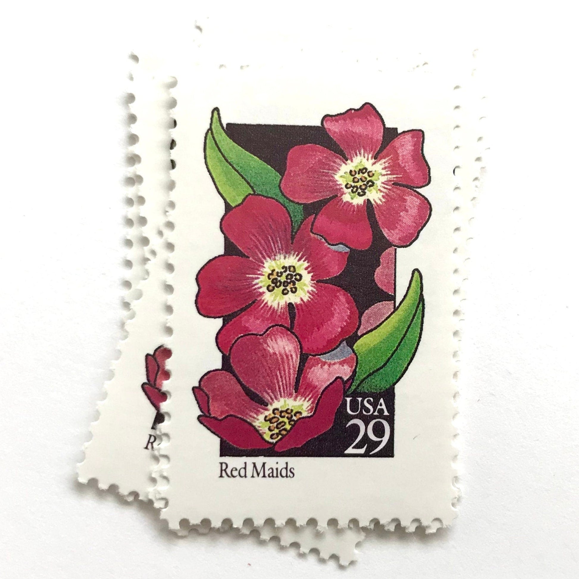 Image of 1992 American Wildflower Series “Red Maids” vintage USPS mail stamps. Scott #2692. Stamp Themes: Plants, Flowers, Wildflowers, Flora. Pink, Green, Black, Multicolored gummed postage stamp. Perfect postage stamp to use for save the date announcements, wedding invitation postage, bridal shower invitations, birth announcements, valentine’s day, thank you cards, and snail mail.