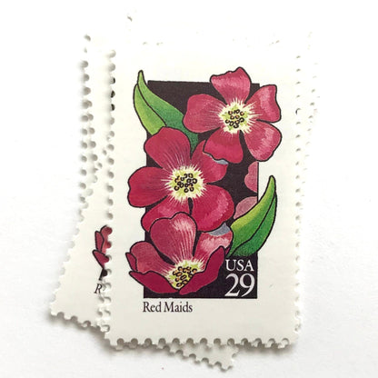 Image of 1992 American Wildflower Series “Red Maids” vintage USPS mail stamps. Scott #2692. Stamp Themes: Plants, Flowers, Wildflowers, Flora. Pink, Green, Black, Multicolored gummed postage stamp. Perfect postage stamp to use for save the date announcements, wedding invitation postage, bridal shower invitations, birth announcements, valentine’s day, thank you cards, and snail mail.