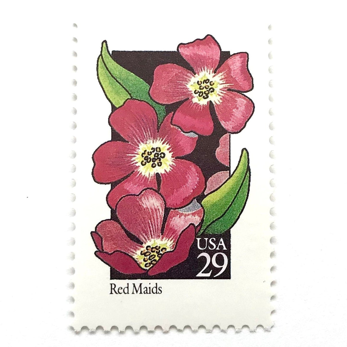 Image of 1992 American Wildflower Series “Red Maids” vintage USPS mail stamps. Scott #2692. Stamp Themes: Plants, Flowers, Wildflowers, Flora. Pink, Green, Black, Multicolored gummed postage stamp. Perfect postage stamp to use for save the date announcements, wedding invitation postage, bridal shower invitations, birth announcements, valentine’s day, thank you cards, and snail mail.