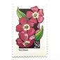 Image of 1992 American Wildflower Series “Red Maids” vintage USPS mail stamps. Scott #2692. Stamp Themes: Plants, Flowers, Wildflowers, Flora. Pink, Green, Black, Multicolored gummed postage stamp. Perfect postage stamp to use for save the date announcements, wedding invitation postage, bridal shower invitations, birth announcements, valentine’s day, thank you cards, and snail mail.