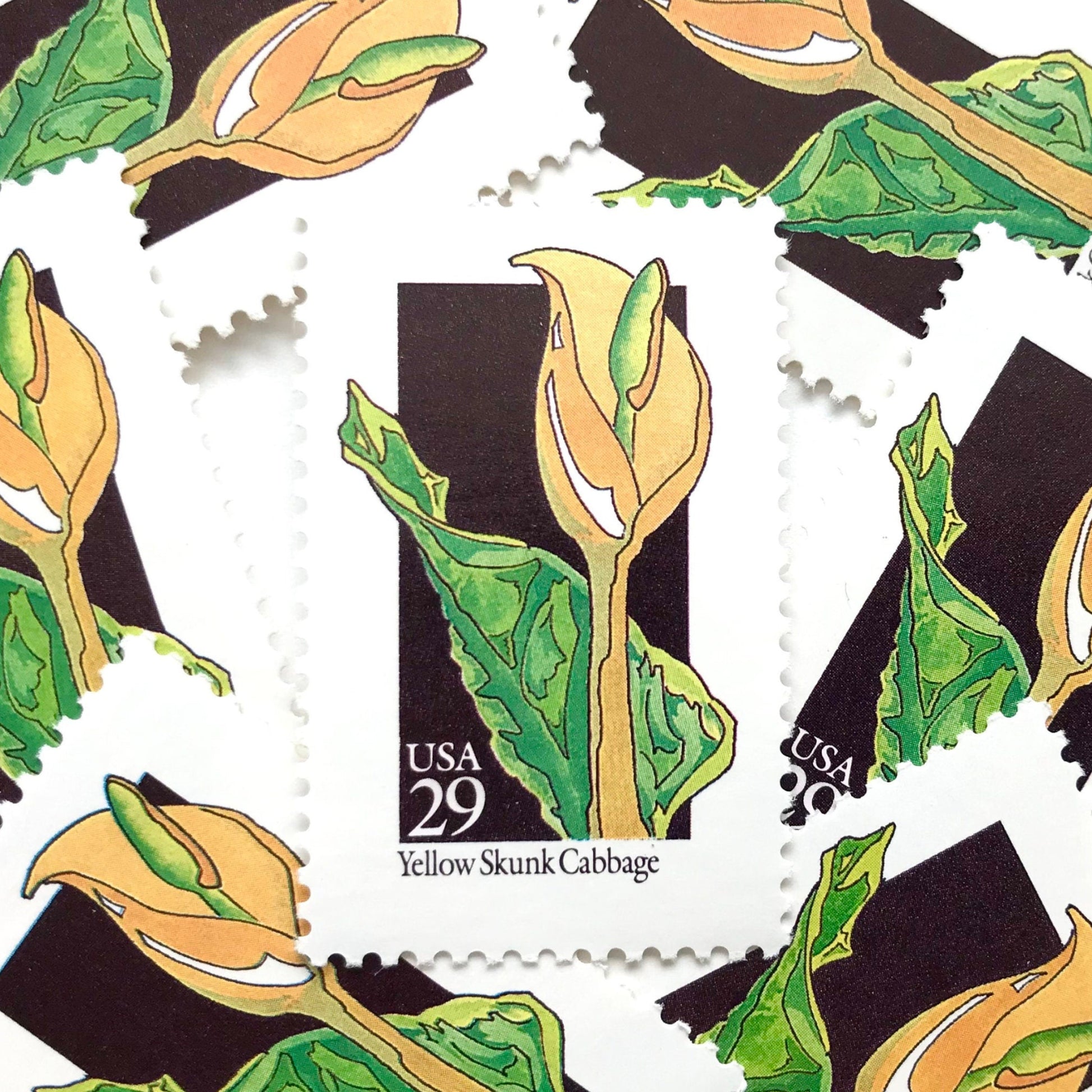 Image of 1992 American Wildflower Series “Yellow Skunk Cabbage” vintage USPS mail stamps. Scott #2693. Stamp Themes: Plants, Flowers, Wildflowers, Flora. Yellow, Green, Black, Multicolored gummed postage stamp. Perfect postage stamp to use for save the date announcements, wedding invitation postage, bridal shower invitations, birth announcements, valentine’s day, thank you cards, and snail mail.