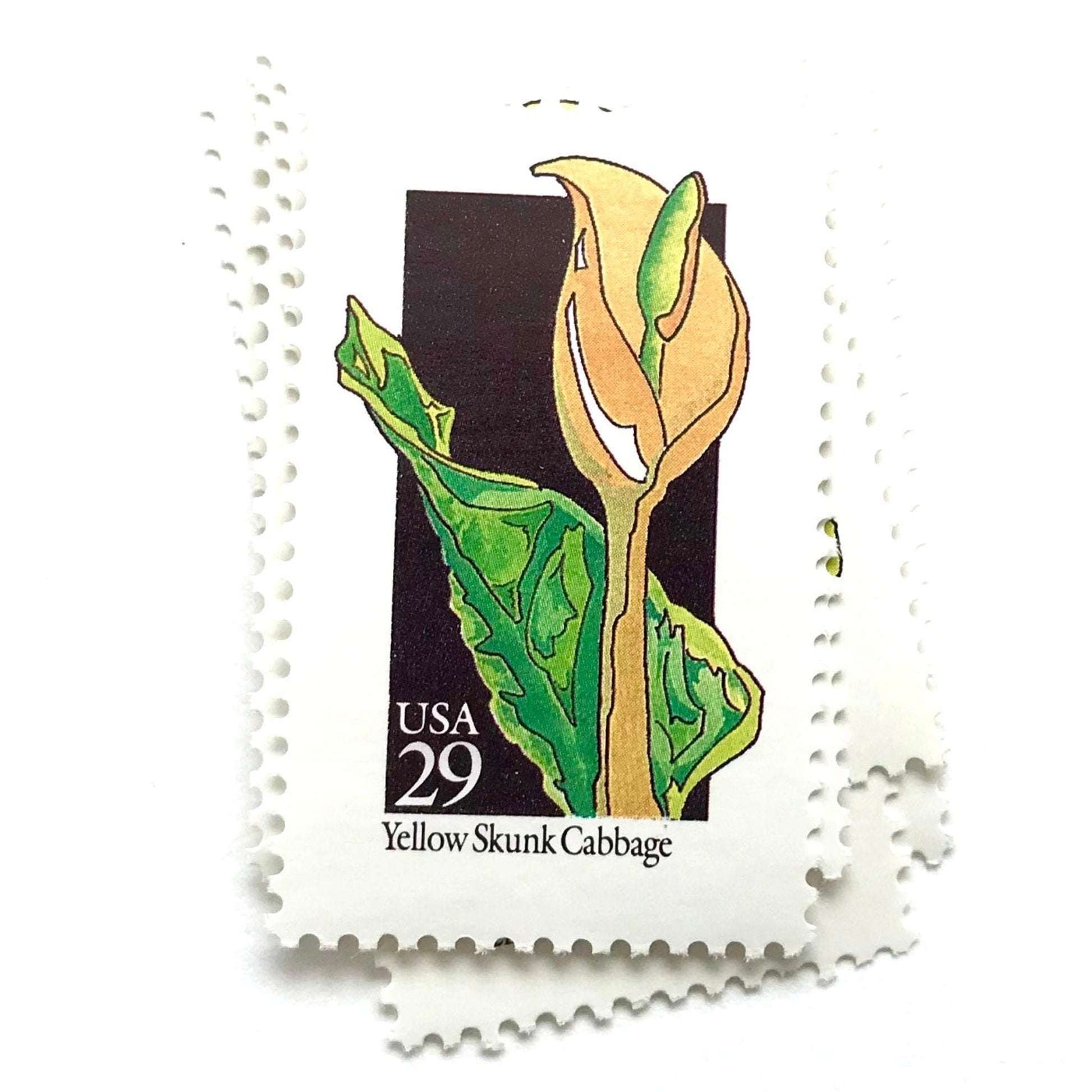 Image of 1992 American Wildflower Series “Yellow Skunk Cabbage” vintage USPS mail stamps. Scott #2693. Stamp Themes: Plants, Flowers, Wildflowers, Flora. Yellow, Green, Black, Multicolored gummed postage stamp. Perfect postage stamp to use for save the date announcements, wedding invitation postage, bridal shower invitations, birth announcements, valentine’s day, thank you cards, and snail mail.