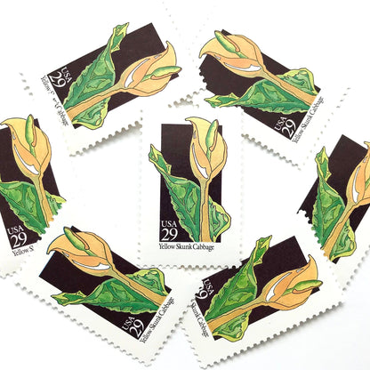Image of 1992 American Wildflower Series “Yellow Skunk Cabbage” vintage USPS mail stamps. Scott #2693. Stamp Themes: Plants, Flowers, Wildflowers, Flora. Yellow, Green, Black, Multicolored gummed postage stamp. Perfect postage stamp to use for save the date announcements, wedding invitation postage, bridal shower invitations, birth announcements, valentine’s day, thank you cards, and snail mail.