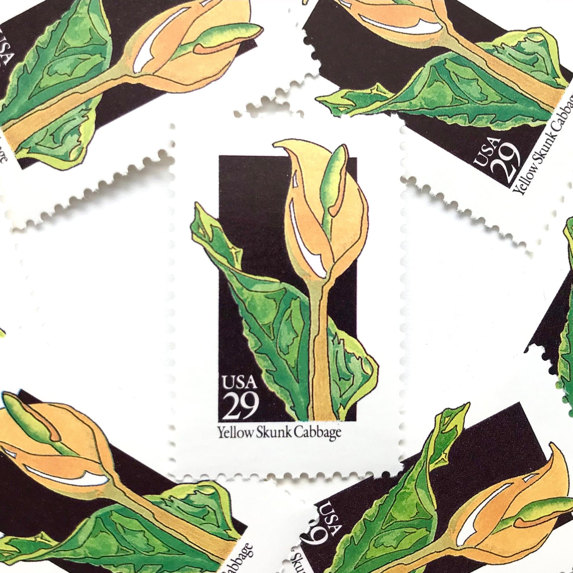 Image of 1992 American Wildflower Series “Yellow Skunk Cabbage” vintage USPS mail stamps. Scott #2693. Stamp Themes: Plants, Flowers, Wildflowers, Flora. Yellow, Green, Black, Multicolored gummed postage stamp. Perfect postage stamp to use for save the date announcements, wedding invitation postage, bridal shower invitations, birth announcements, valentine’s day, thank you cards, and snail mail.