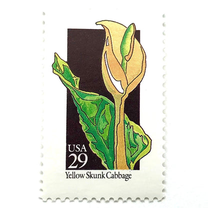 Image of 1992 American Wildflower Series “Yellow Skunk Cabbage” vintage USPS mail stamps. Scott #2693. Stamp Themes: Plants, Flowers, Wildflowers, Flora. Yellow, Green, Black, Multicolored gummed postage stamp. Perfect postage stamp to use for save the date announcements, wedding invitation postage, bridal shower invitations, birth announcements, valentine’s day, thank you cards, and snail mail.