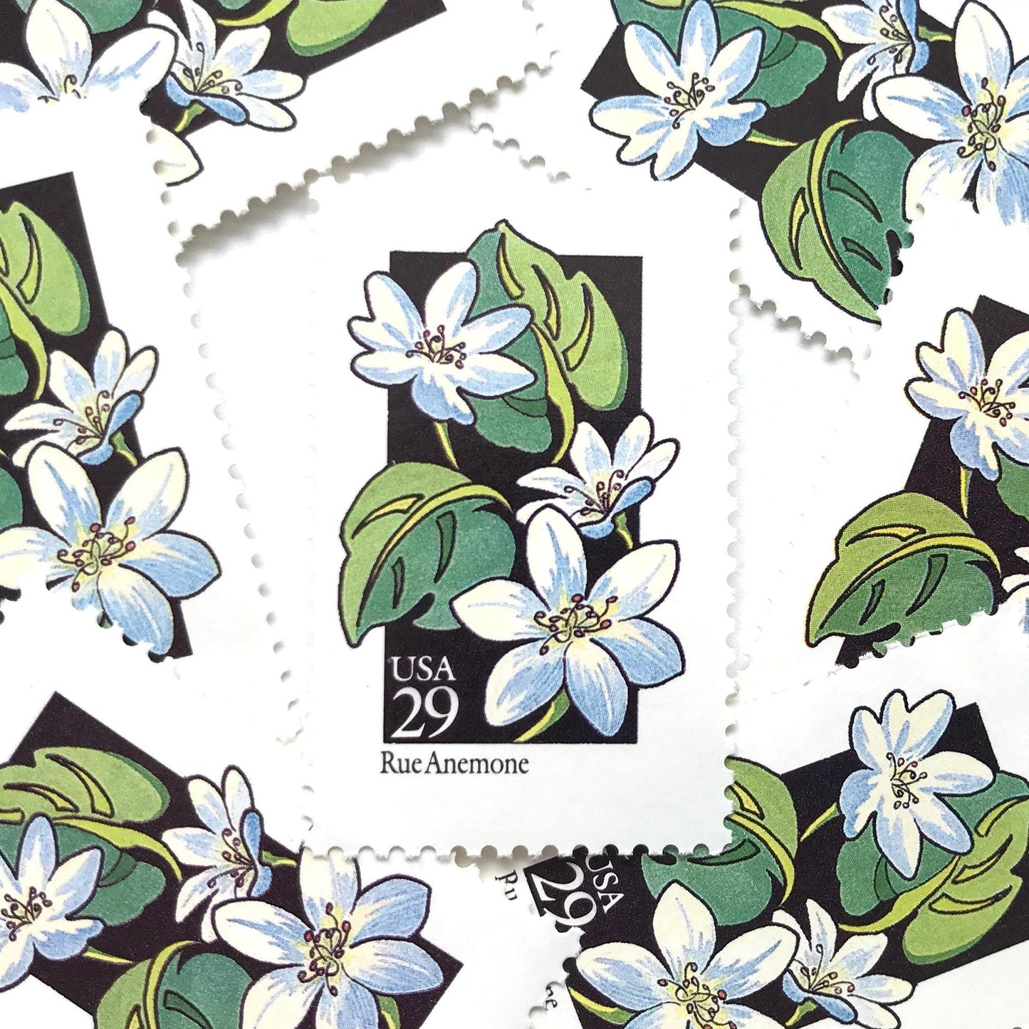 Image of 1992 American Wildflower Series “Rue Anemone” vintage USPS mail stamps. Scott #2694. Stamp Themes: Plants, Flowers, Wildflowers, Flora. White, Blue, Green, Multicolored gummed postage stamp. Perfect postage stamp to use for save the date announcements, wedding invitation postage, bridal shower invitations, birth announcements, valentine’s day, thank you cards, and snail mail.