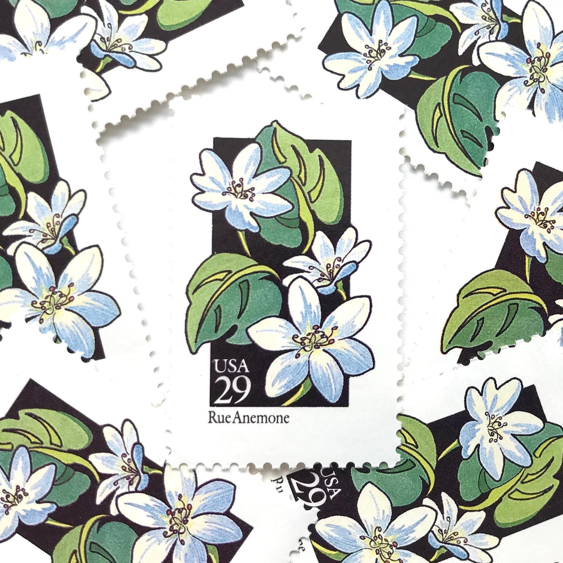 Image of 1992 American Wildflower Series “Rue Anemone” vintage USPS mail stamps. Scott #2694. Stamp Themes: Plants, Flowers, Wildflowers, Flora. White, Blue, Green, Multicolored gummed postage stamp. Perfect postage stamp to use for save the date announcements, wedding invitation postage, bridal shower invitations, birth announcements, valentine’s day, thank you cards, and snail mail.