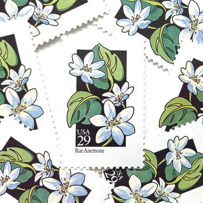 Image of 1992 American Wildflower Series “Rue Anemone” vintage USPS mail stamps. Scott #2694. Stamp Themes: Plants, Flowers, Wildflowers, Flora. White, Blue, Green, Multicolored gummed postage stamp. Perfect postage stamp to use for save the date announcements, wedding invitation postage, bridal shower invitations, birth announcements, valentine’s day, thank you cards, and snail mail.