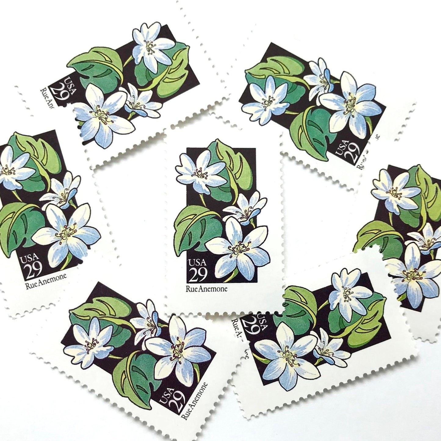 Image of 1992 American Wildflower Series “Rue Anemone” vintage USPS mail stamps. Scott #2694. Stamp Themes: Plants, Flowers, Wildflowers, Flora. White, Blue, Green, Multicolored gummed postage stamp. Perfect postage stamp to use for save the date announcements, wedding invitation postage, bridal shower invitations, birth announcements, valentine’s day, thank you cards, and snail mail.