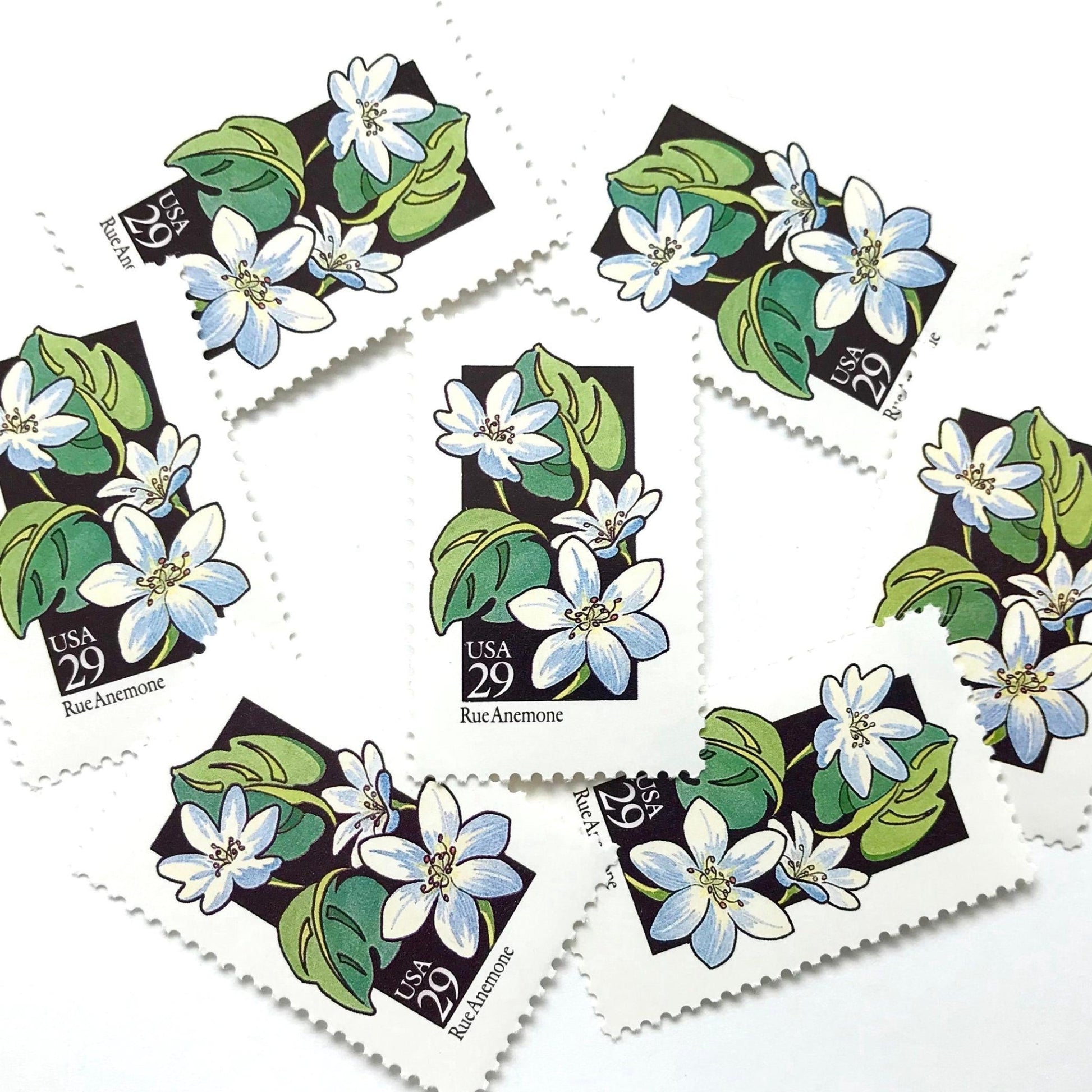 Image of 1992 American Wildflower Series “Rue Anemone” vintage USPS mail stamps. Scott #2694. Stamp Themes: Plants, Flowers, Wildflowers, Flora. White, Blue, Green, Multicolored gummed postage stamp. Perfect postage stamp to use for save the date announcements, wedding invitation postage, bridal shower invitations, birth announcements, valentine’s day, thank you cards, and snail mail.