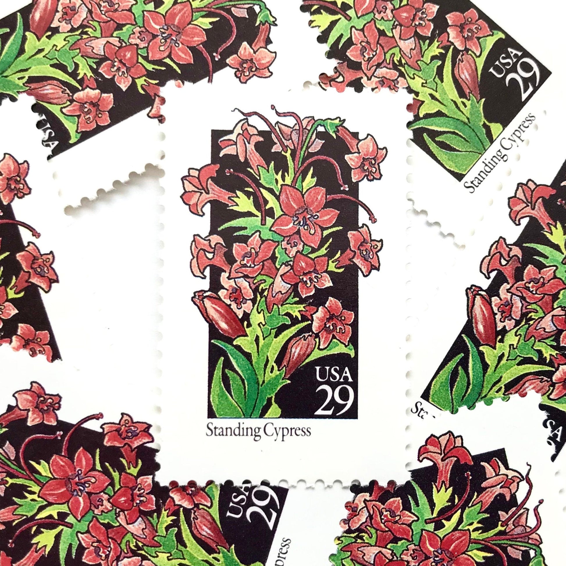 Image of 1992 American Wildflower Series “Standing Cypress” vintage USPS mail stamps. Scott #2695. Stamp Themes: Plants, Flowers, Wildflowers, Flora. Red, Pink, Green, Multicolored gummed postage stamp. Perfect postage stamp to use for save the date announcements, wedding invitation postage, bridal shower invitations, birth announcements, valentine’s day, thank you cards, and snail mail.