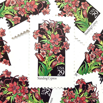 Image of 1992 American Wildflower Series “Standing Cypress” vintage USPS mail stamps. Scott #2695. Stamp Themes: Plants, Flowers, Wildflowers, Flora. Red, Pink, Green, Multicolored gummed postage stamp. Perfect postage stamp to use for save the date announcements, wedding invitation postage, bridal shower invitations, birth announcements, valentine’s day, thank you cards, and snail mail.