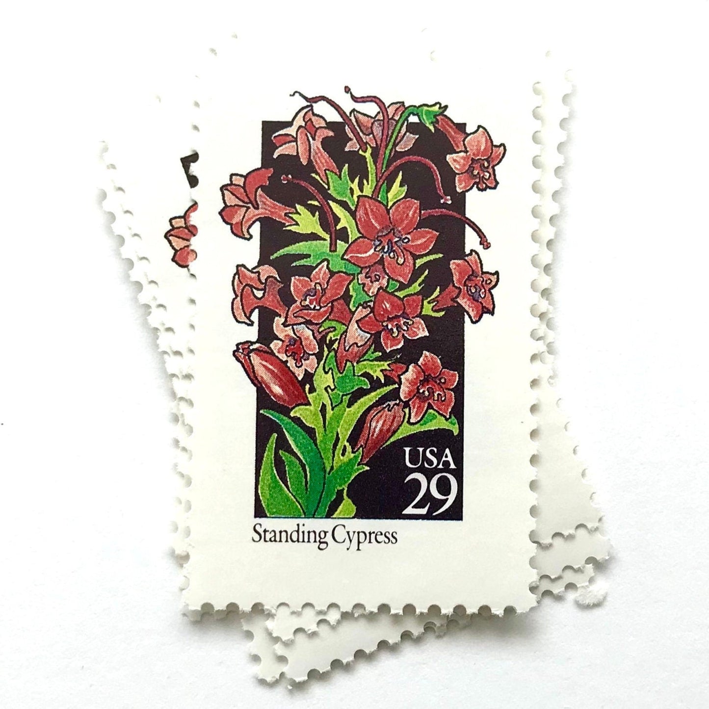 Image of 1992 American Wildflower Series “Standing Cypress” vintage USPS mail stamps. Scott #2695. Stamp Themes: Plants, Flowers, Wildflowers, Flora. Red, Pink, Green, Multicolored gummed postage stamp. Perfect postage stamp to use for save the date announcements, wedding invitation postage, bridal shower invitations, birth announcements, valentine’s day, thank you cards, and snail mail.