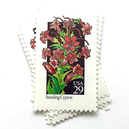 Image of 1992 American Wildflower Series “Standing Cypress” vintage USPS mail stamps. Scott #2695. Stamp Themes: Plants, Flowers, Wildflowers, Flora. Red, Pink, Green, Multicolored gummed postage stamp. Perfect postage stamp to use for save the date announcements, wedding invitation postage, bridal shower invitations, birth announcements, valentine’s day, thank you cards, and snail mail.