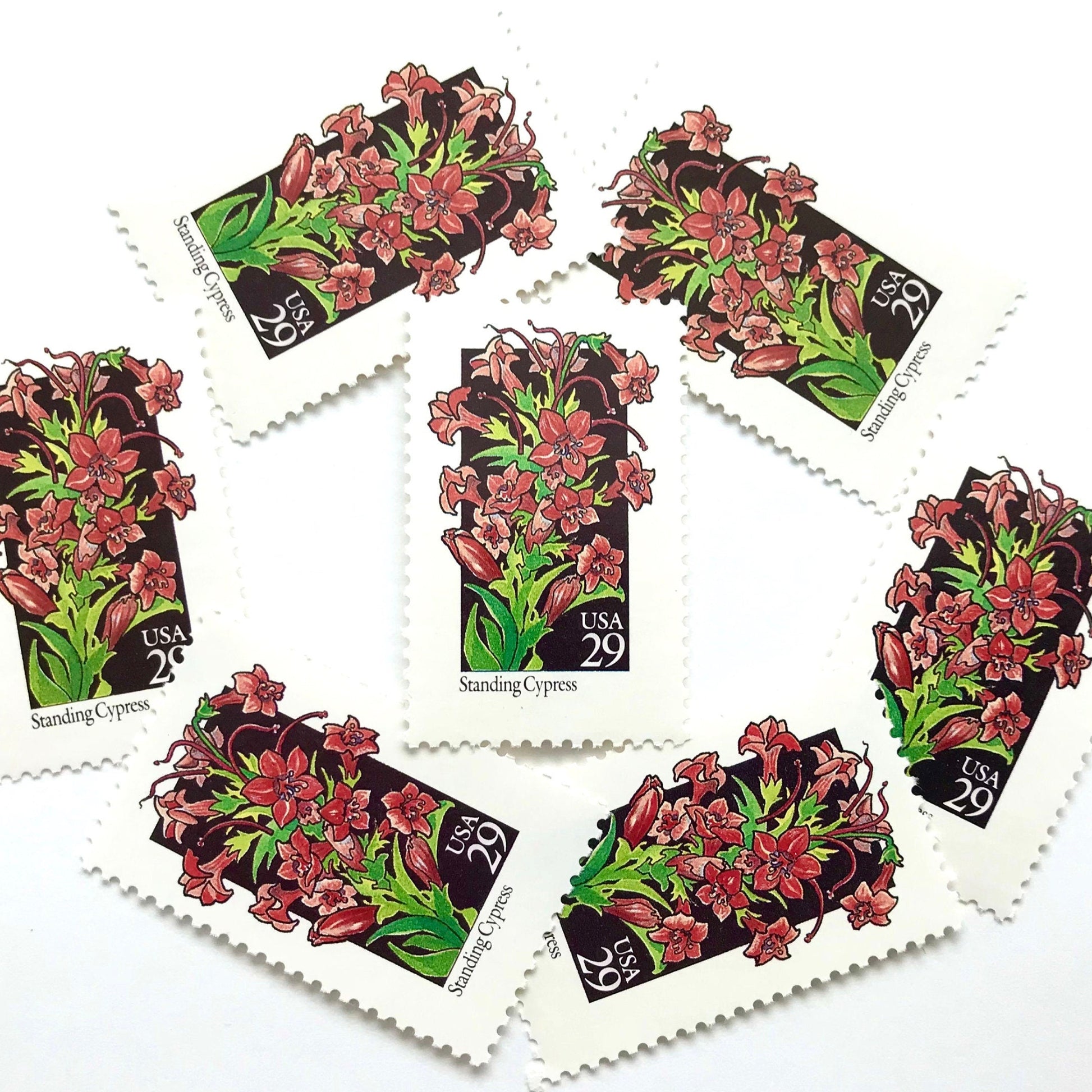 Image of 1992 American Wildflower Series “Standing Cypress” vintage USPS mail stamps. Scott #2695. Stamp Themes: Plants, Flowers, Wildflowers, Flora. Red, Pink, Green, Multicolored gummed postage stamp. Perfect postage stamp to use for save the date announcements, wedding invitation postage, bridal shower invitations, birth announcements, valentine’s day, thank you cards, and snail mail.