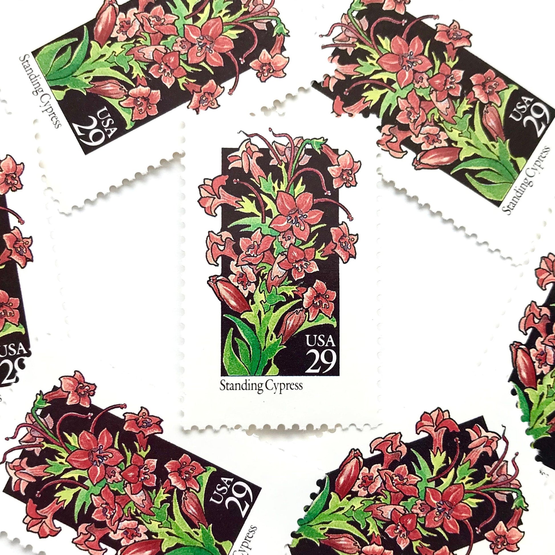 Image of 1992 American Wildflower Series “Standing Cypress” vintage USPS mail stamps. Scott #2695. Stamp Themes: Plants, Flowers, Wildflowers, Flora. Red, Pink, Green, Multicolored gummed postage stamp. Perfect postage stamp to use for save the date announcements, wedding invitation postage, bridal shower invitations, birth announcements, valentine’s day, thank you cards, and snail mail.