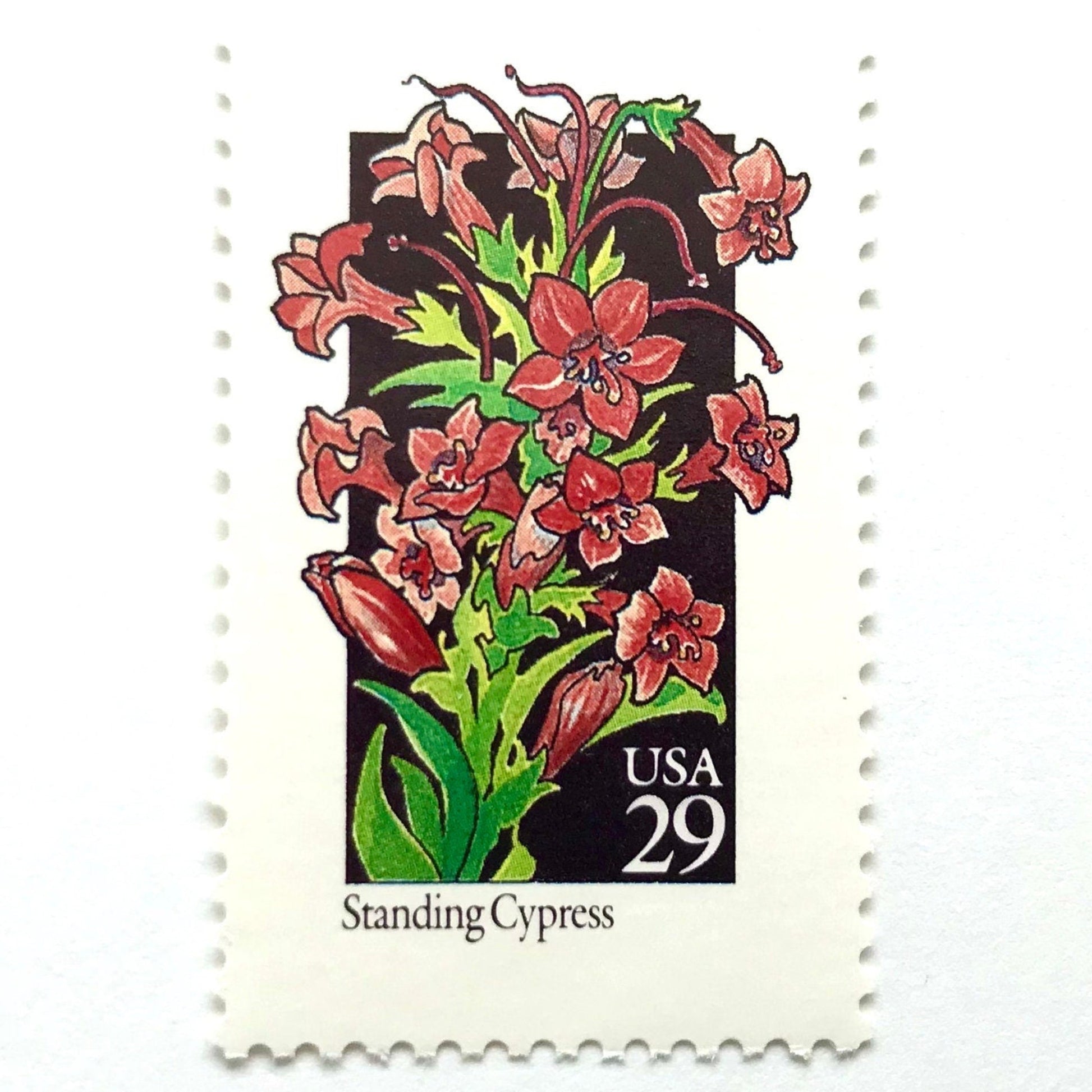 Image of 1992 American Wildflower Series “Standing Cypress” vintage USPS mail stamps. Scott #2695. Stamp Themes: Plants, Flowers, Wildflowers, Flora. Red, Pink, Green, Multicolored gummed postage stamp. Perfect postage stamp to use for save the date announcements, wedding invitation postage, bridal shower invitations, birth announcements, valentine’s day, thank you cards, and snail mail.