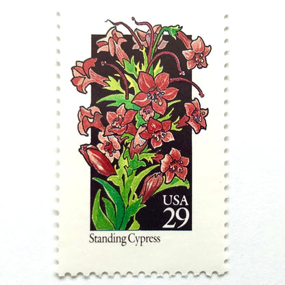 Image of 1992 American Wildflower Series “Standing Cypress” vintage USPS mail stamps. Scott #2695. Stamp Themes: Plants, Flowers, Wildflowers, Flora. Red, Pink, Green, Multicolored gummed postage stamp. Perfect postage stamp to use for save the date announcements, wedding invitation postage, bridal shower invitations, birth announcements, valentine’s day, thank you cards, and snail mail.