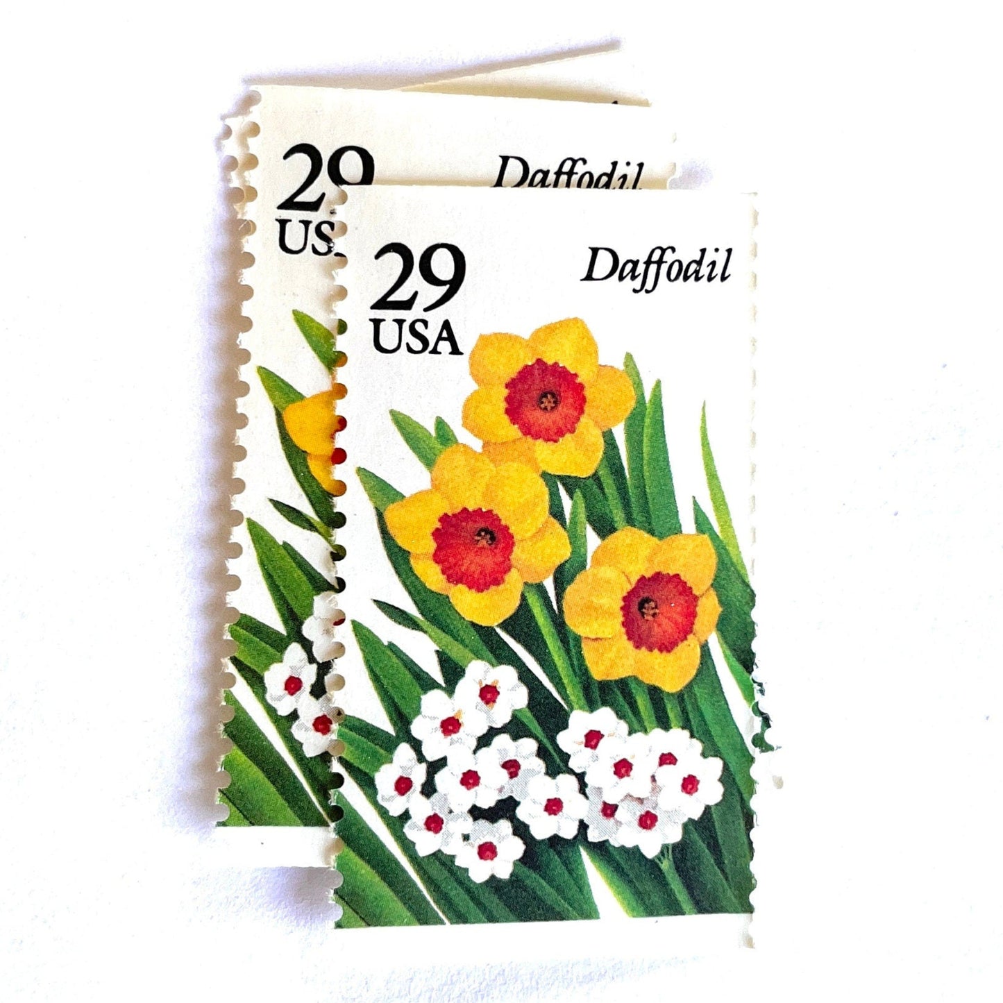 Image of vintage unused USPS Daffodil postage stamps from the 1993 Spring Garden Flowers series, featuring yellow and white daffodil blooms with green foliage, 29-cent face value, Scott 2761.