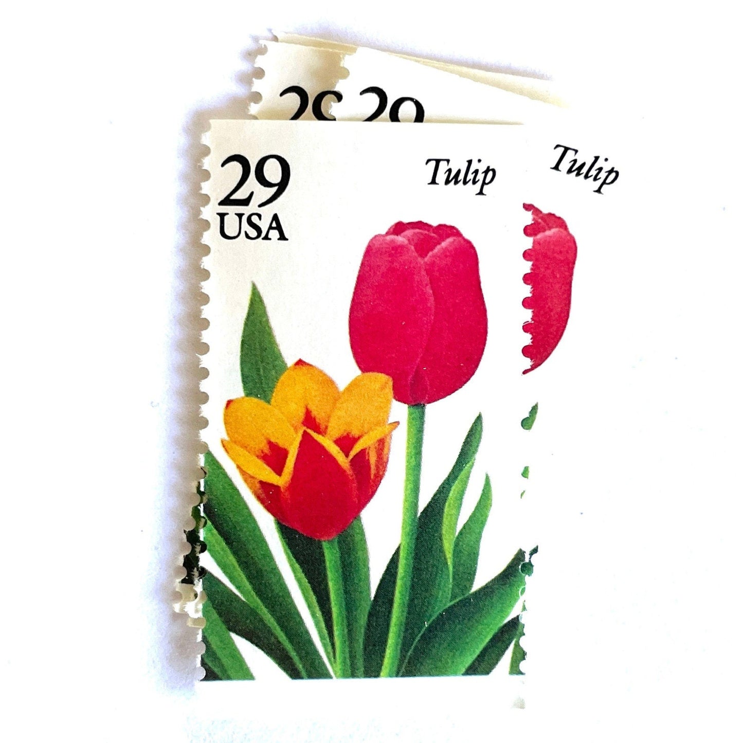 Image of Tulip postage stamps from the 1993 Spring Garden Flowers series, featuring red and yellow tulip blooms with green foliage on vintage unused 29-cent USPS postage, Scott 2762.