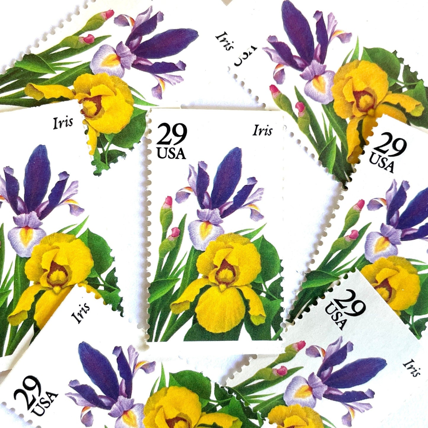 Image of Iris postage stamps featuring a purple iris flower with green foliage and yellow accents from the vintage 1993 USPS Spring Garden Flowers series, 29-cent face value, Scott 2763.
