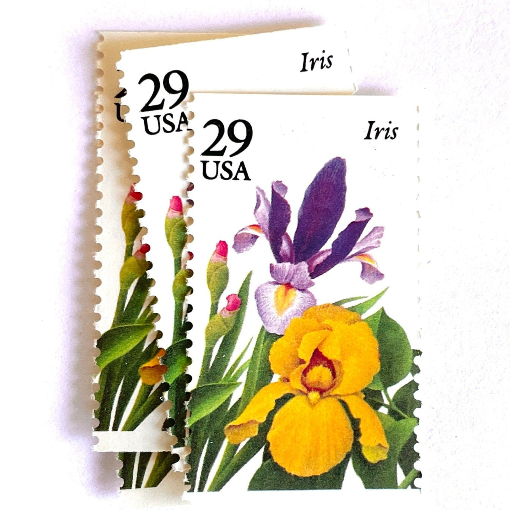 Image of Iris postage stamps featuring a purple iris flower with green foliage and yellow accents from the vintage 1993 USPS Spring Garden Flowers series, 29-cent face value, Scott 2763.